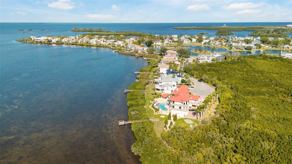 2115 Alexis Court Tarpon Springs, FL 34689 - Photo 94 of 100