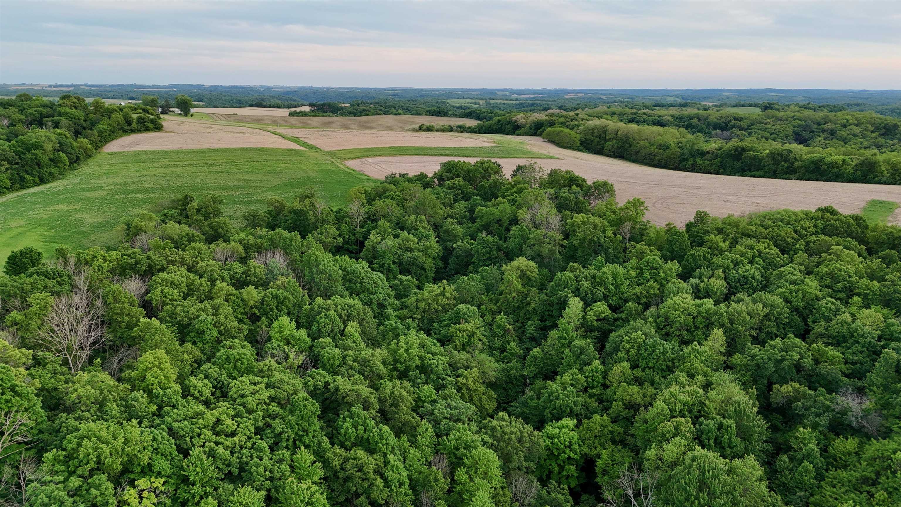 0 County M Boscobel, WI 53805 - Photo 7 of 32