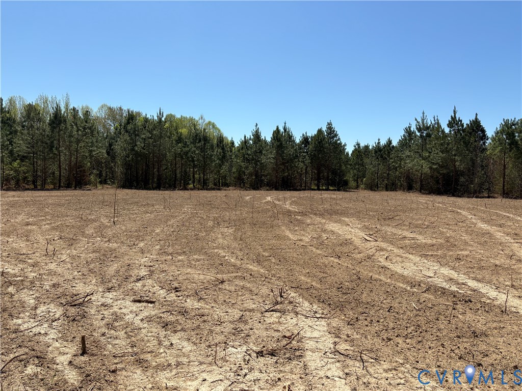 0 Mahixon Road Manquin, VA 23106 - Photo 2 of 8 Property