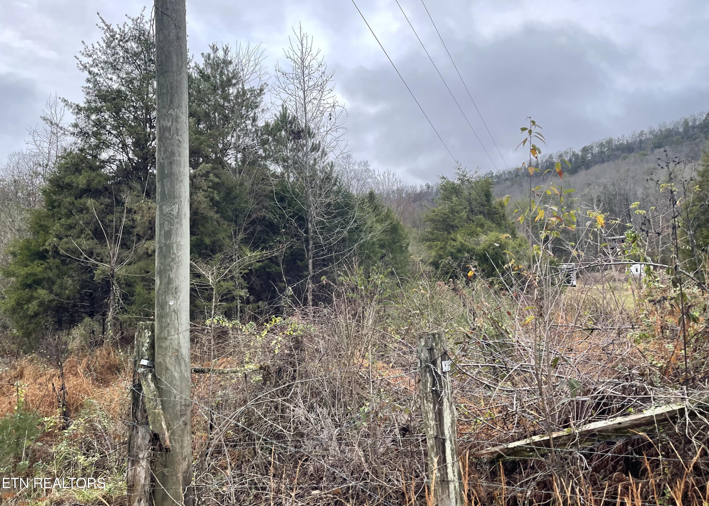 Reagan Valley Road Tellico Plains, TN 37385 - Photo 2 of 8 IMG_7230