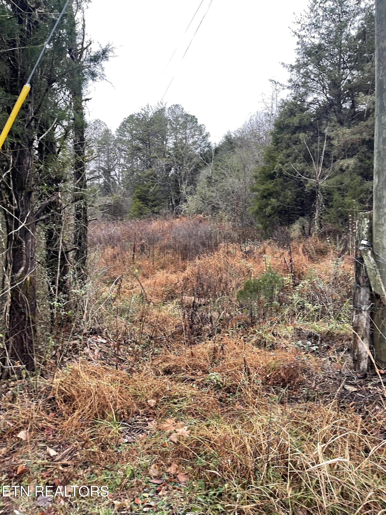 Reagan Valley Road Tellico Plains, TN 37385 - Photo 3 of 8 IMG_7229