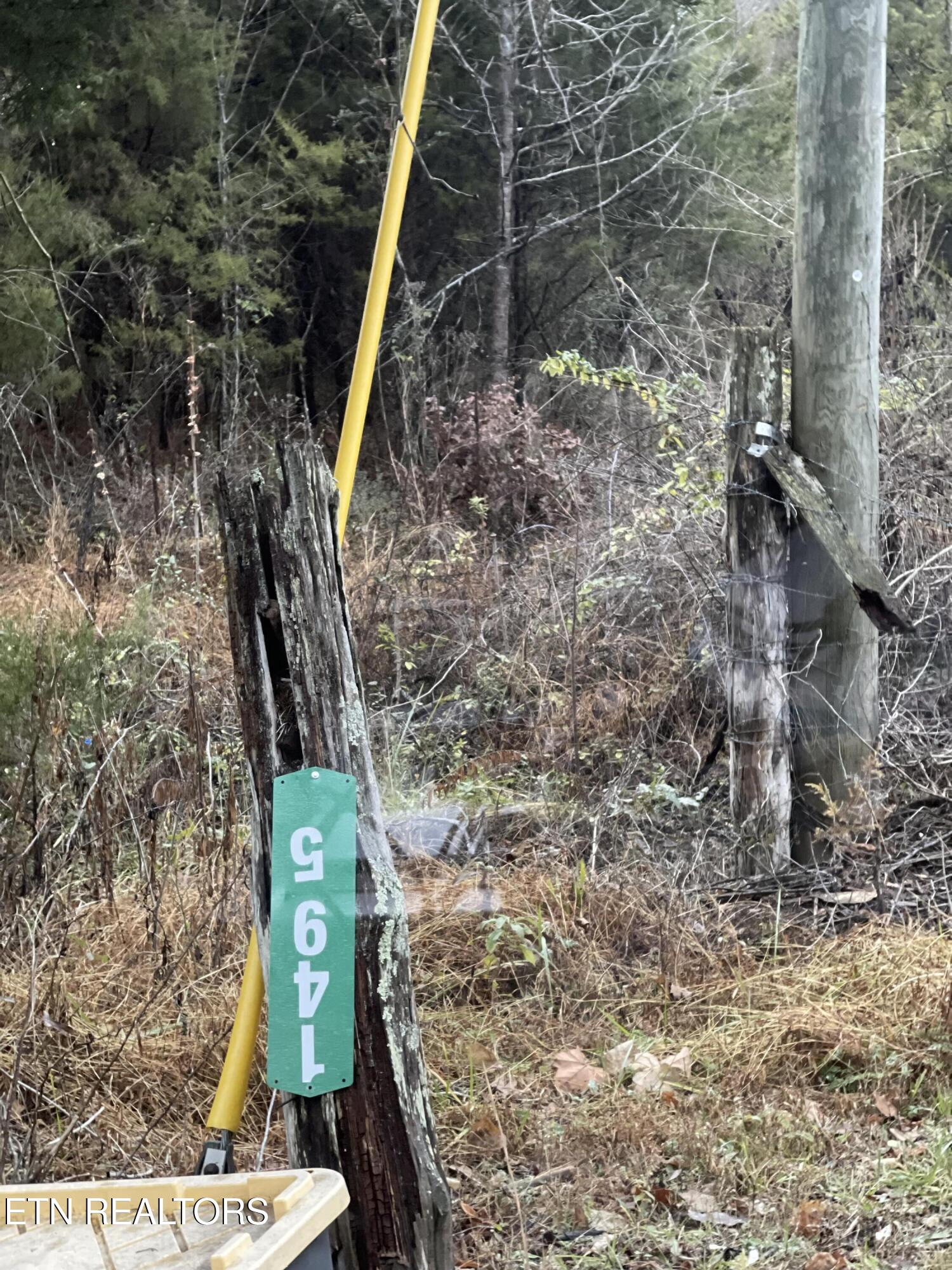 Reagan Valley Road Tellico Plains, TN 37385 - Photo 8 of 8 IMG_7232