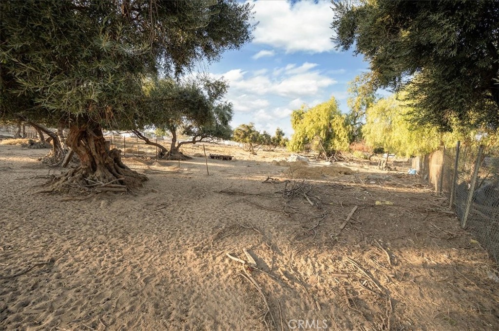 22600 Marquez Road Perris, CA 92570 - Photo 5 of 14 a view of dirt yard with a large tree