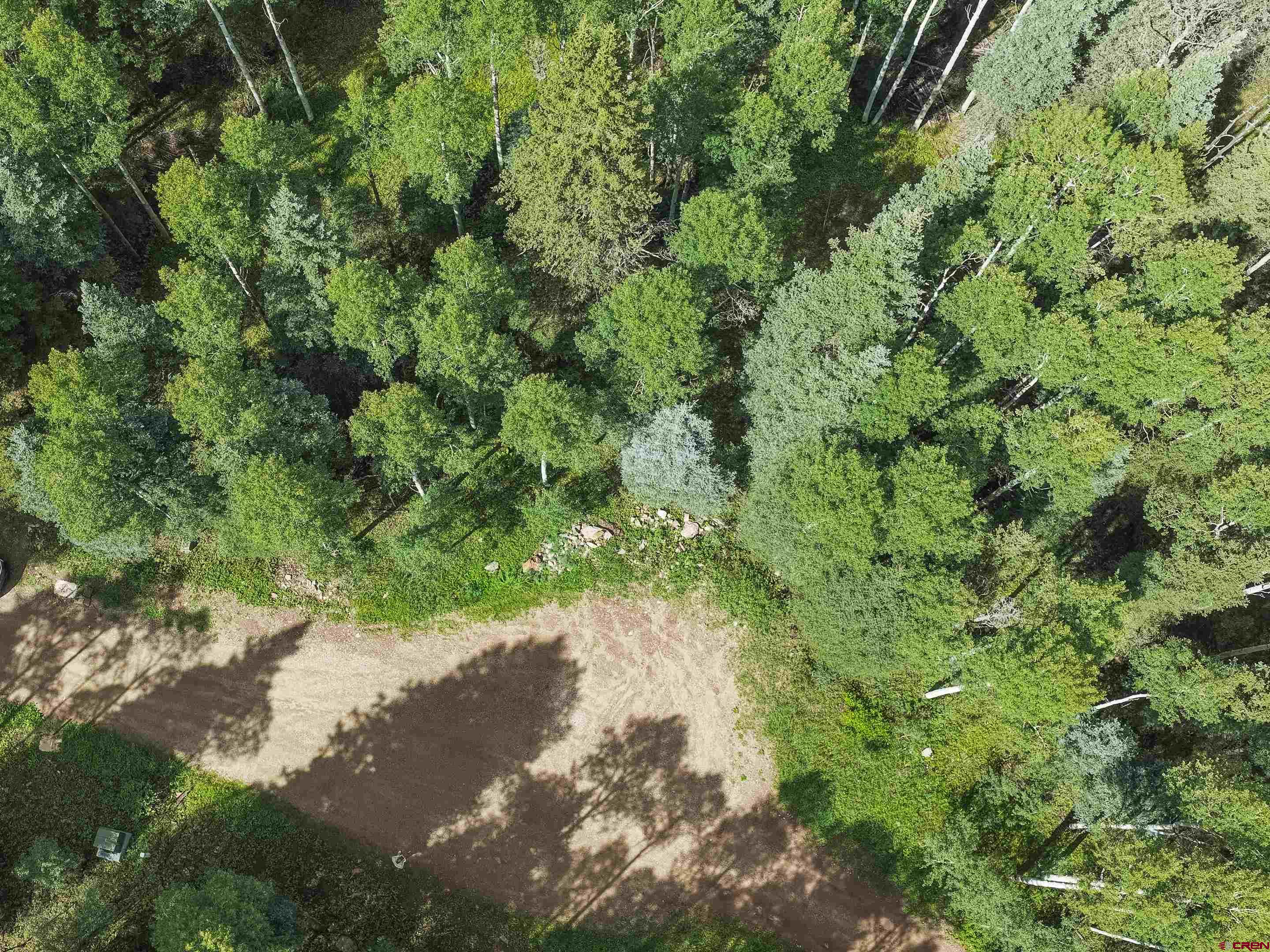 55.9 Road 55.9 Rico, CO 81332 - Photo 1 of 17 Gallery Image 1