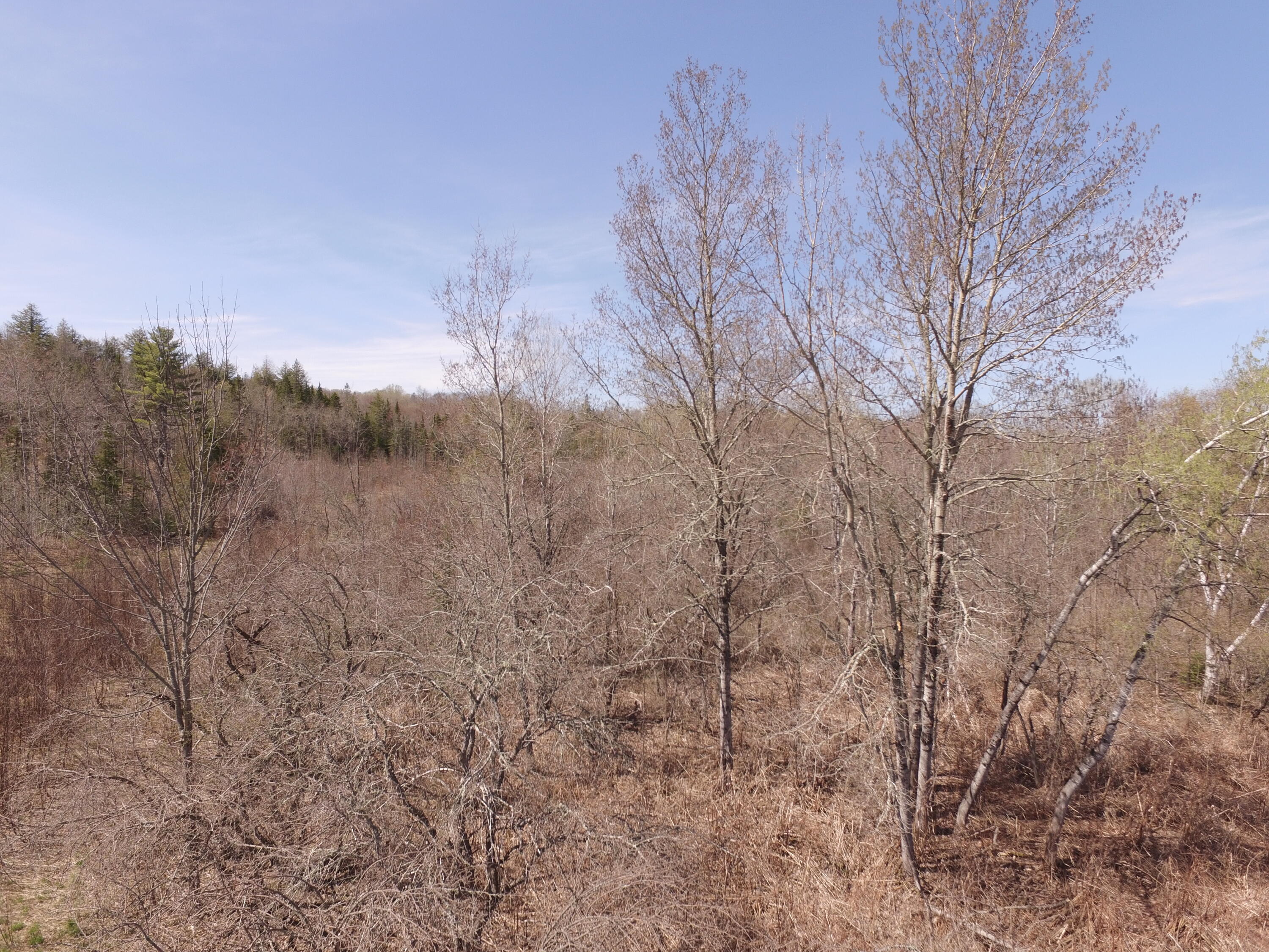 169 Danforth Me 04424 Danforth, ME 04424 - Photo 11 of 17 DJI_0055