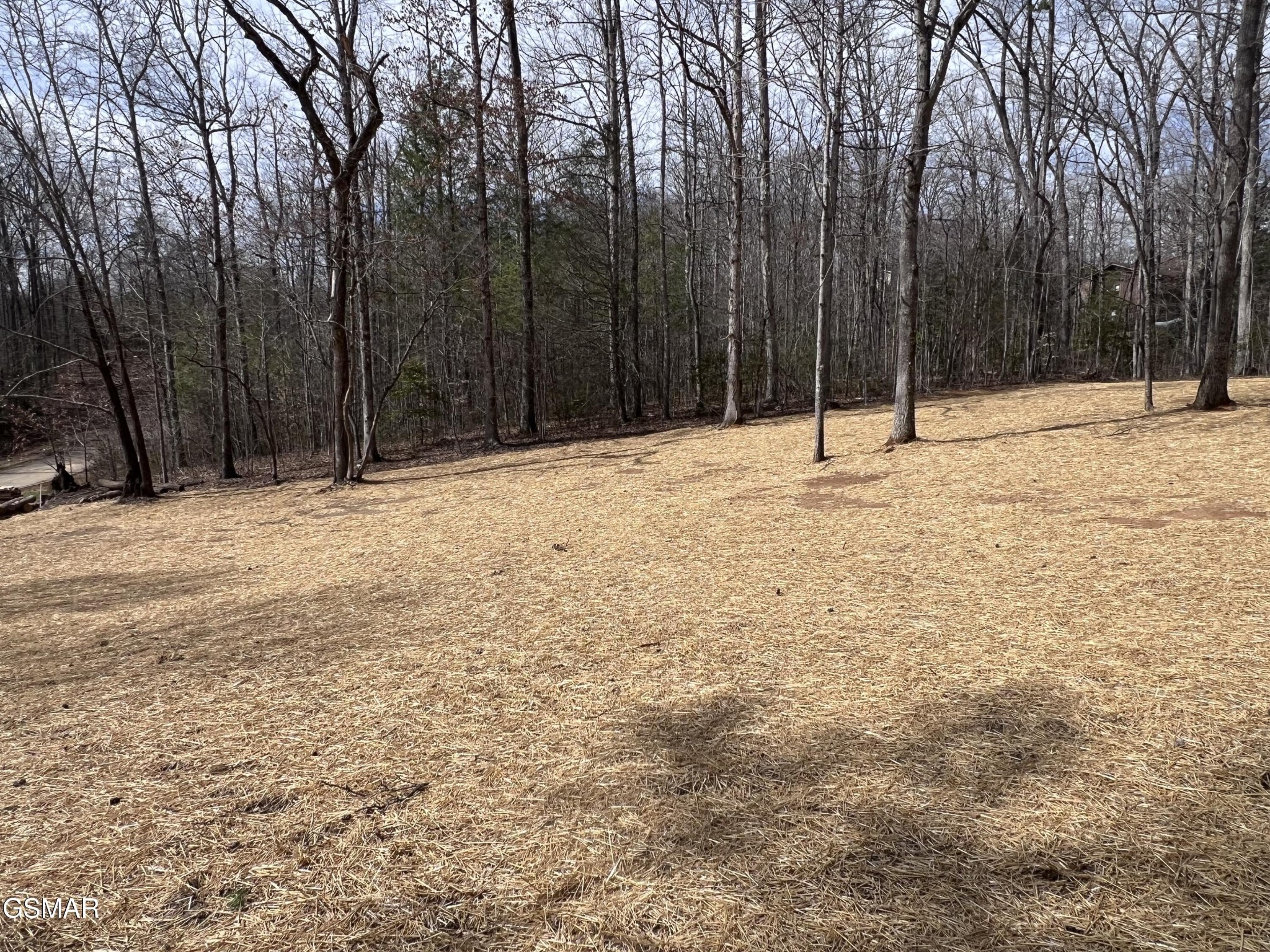 1404 Timber Trail Newport, TN 37821 - Photo 4 of 20 Gallery Image 4