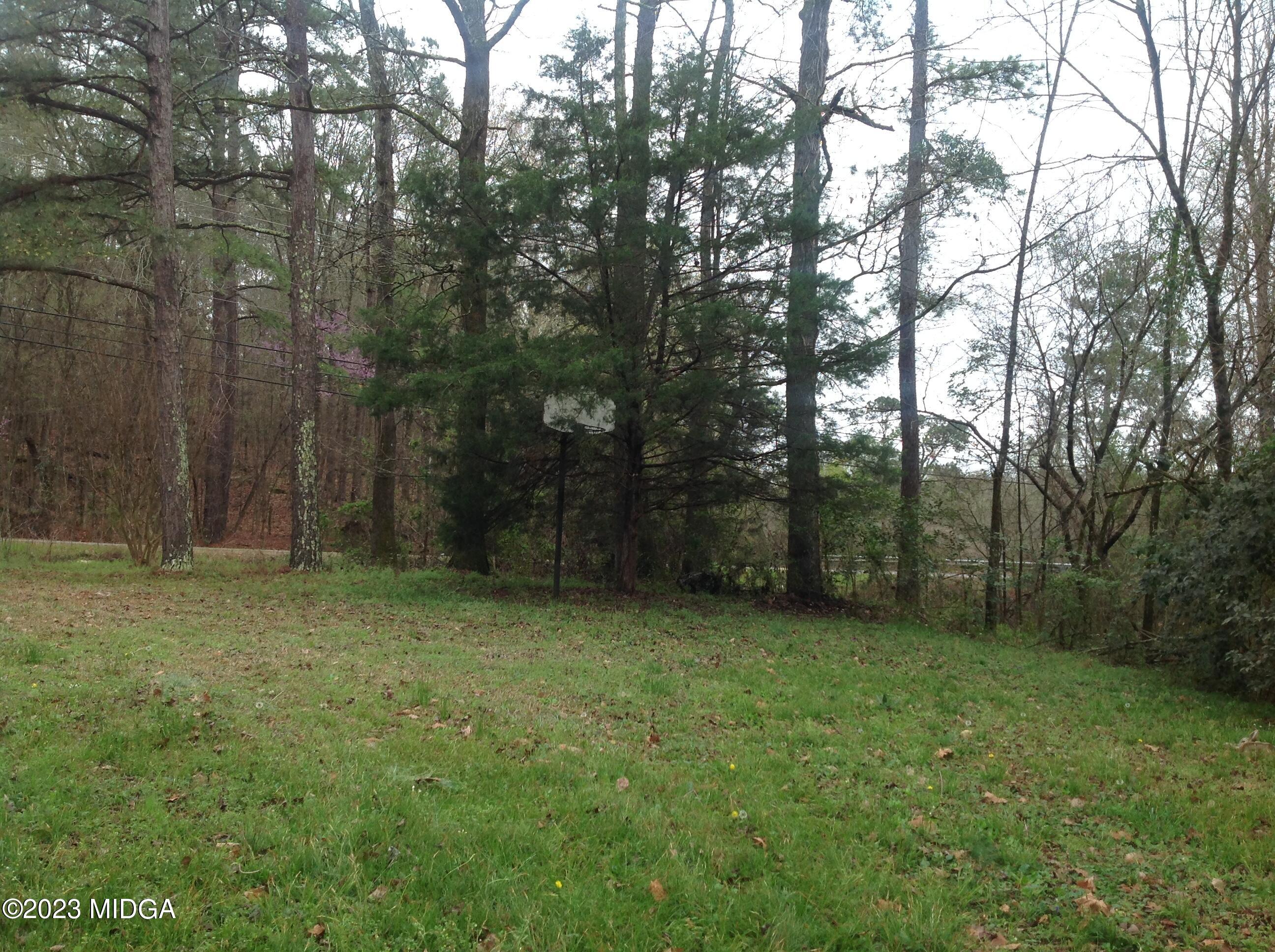 6251 Columbus Road Macon, GA 31206 - Photo 31 of 33 a view of a yard with a trees