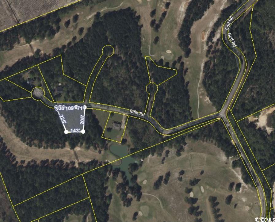 Tbd Rifle Road Greeleyville, SC 29056 - Photo 2 of 2 Map