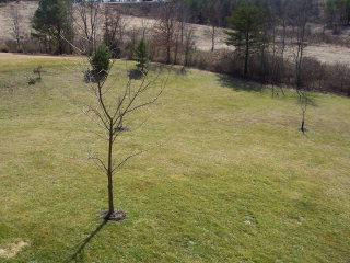 211 Club Valley Estates Road London, KY 40741 - Photo 1 of 12 Photo 1