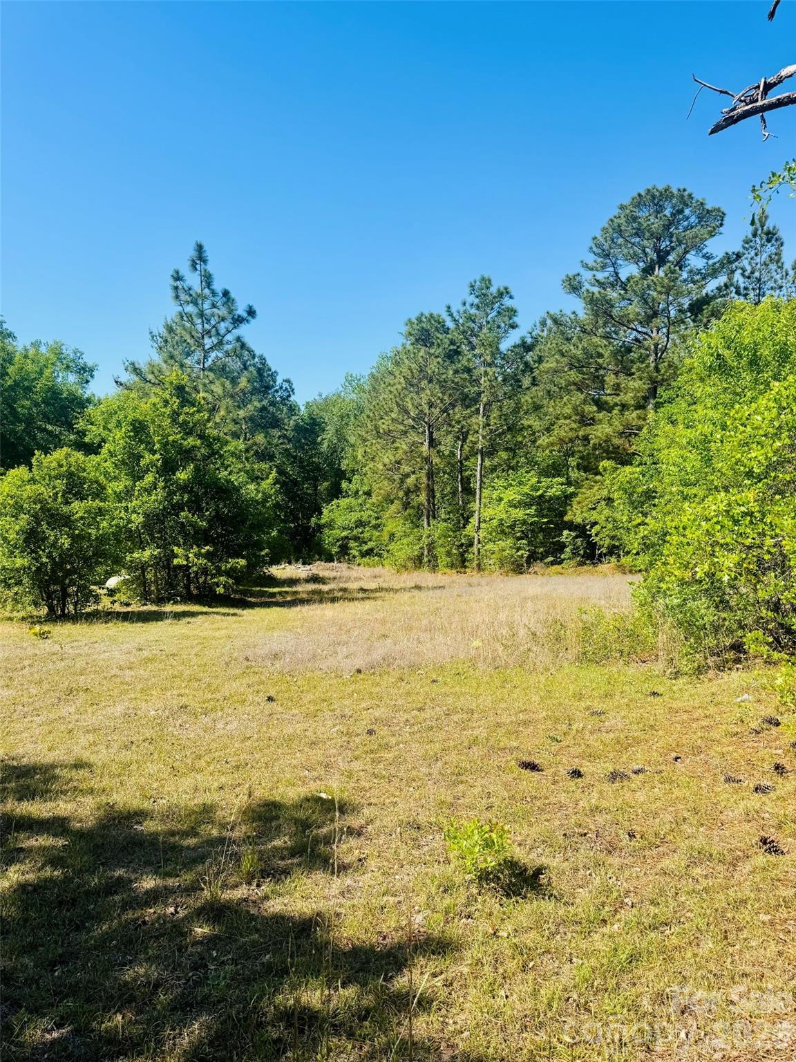 773 Beaverdam Church Road Rockingham, NC 28379 - Photo 12 of 48
