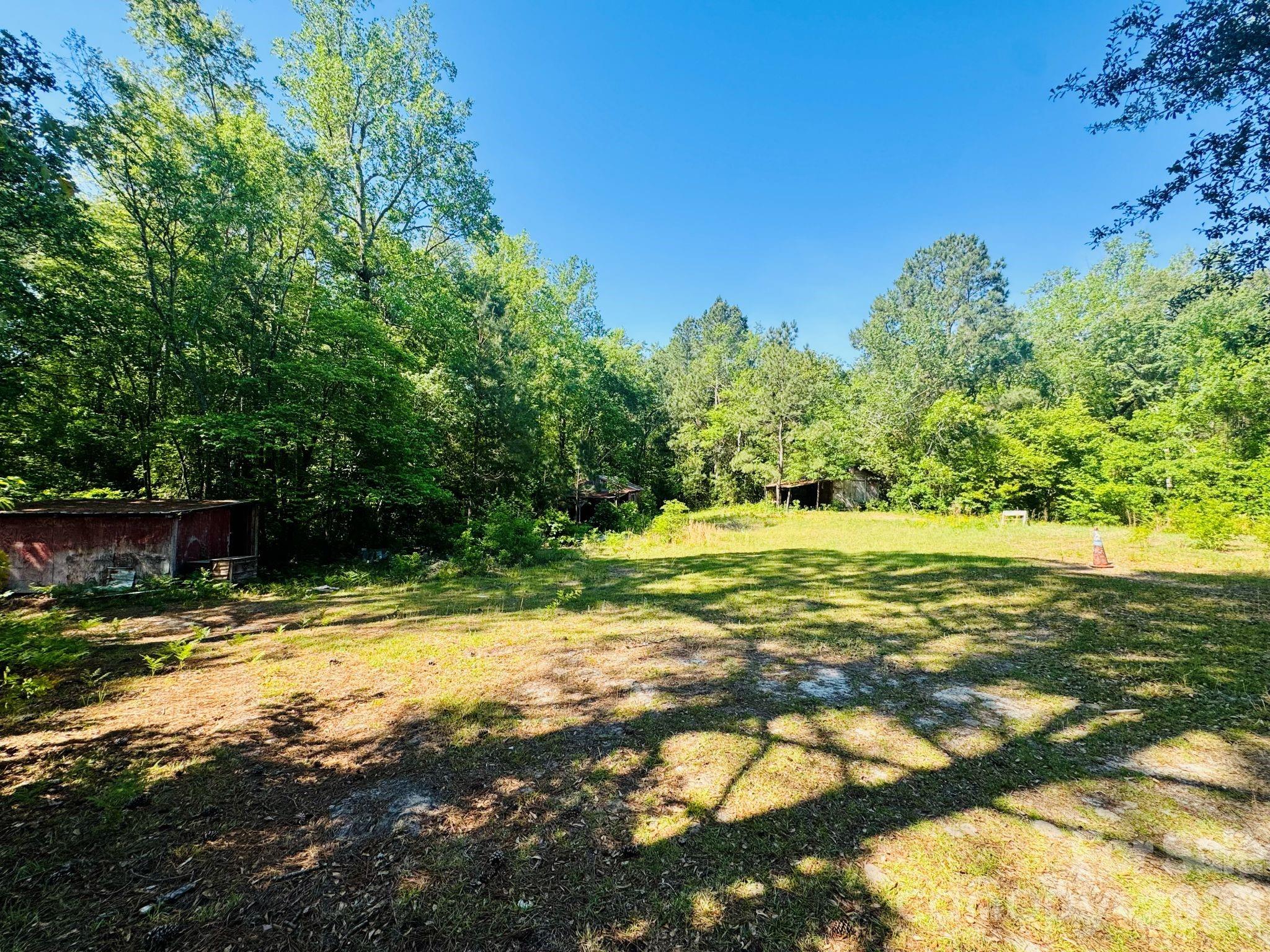 773 Beaverdam Church Road Rockingham, NC 28379 - Photo 13 of 48