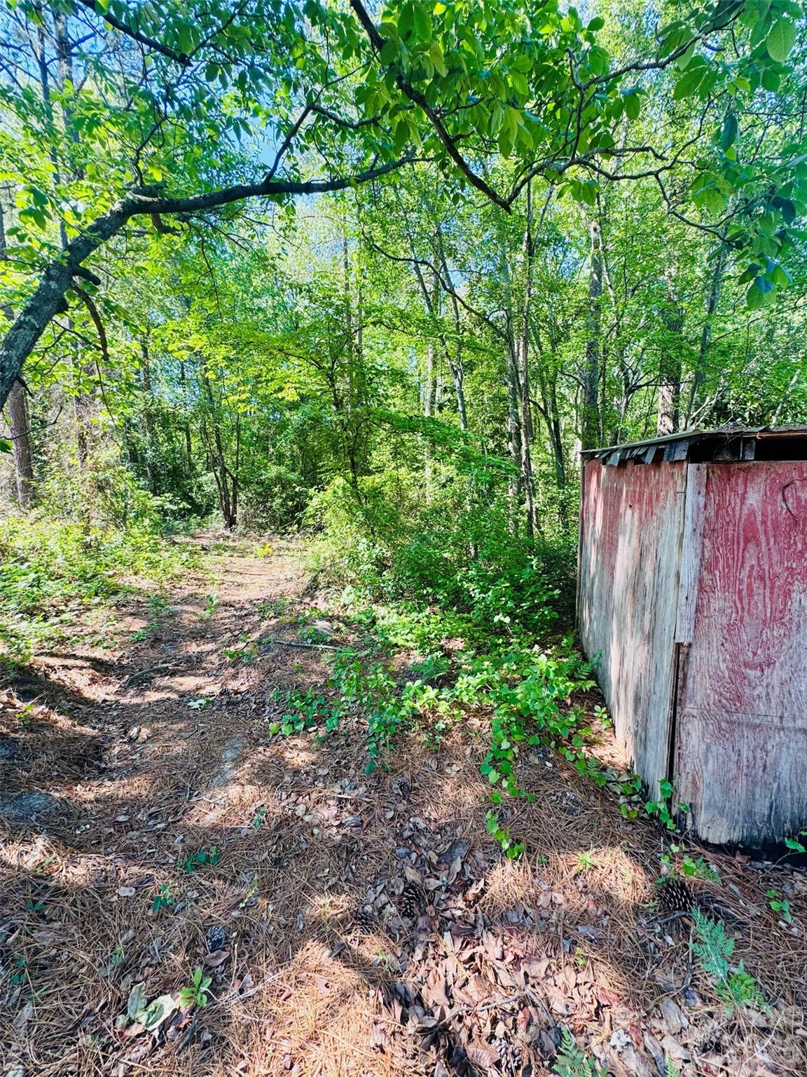 773 Beaverdam Church Road Rockingham, NC 28379 - Photo 20 of 48