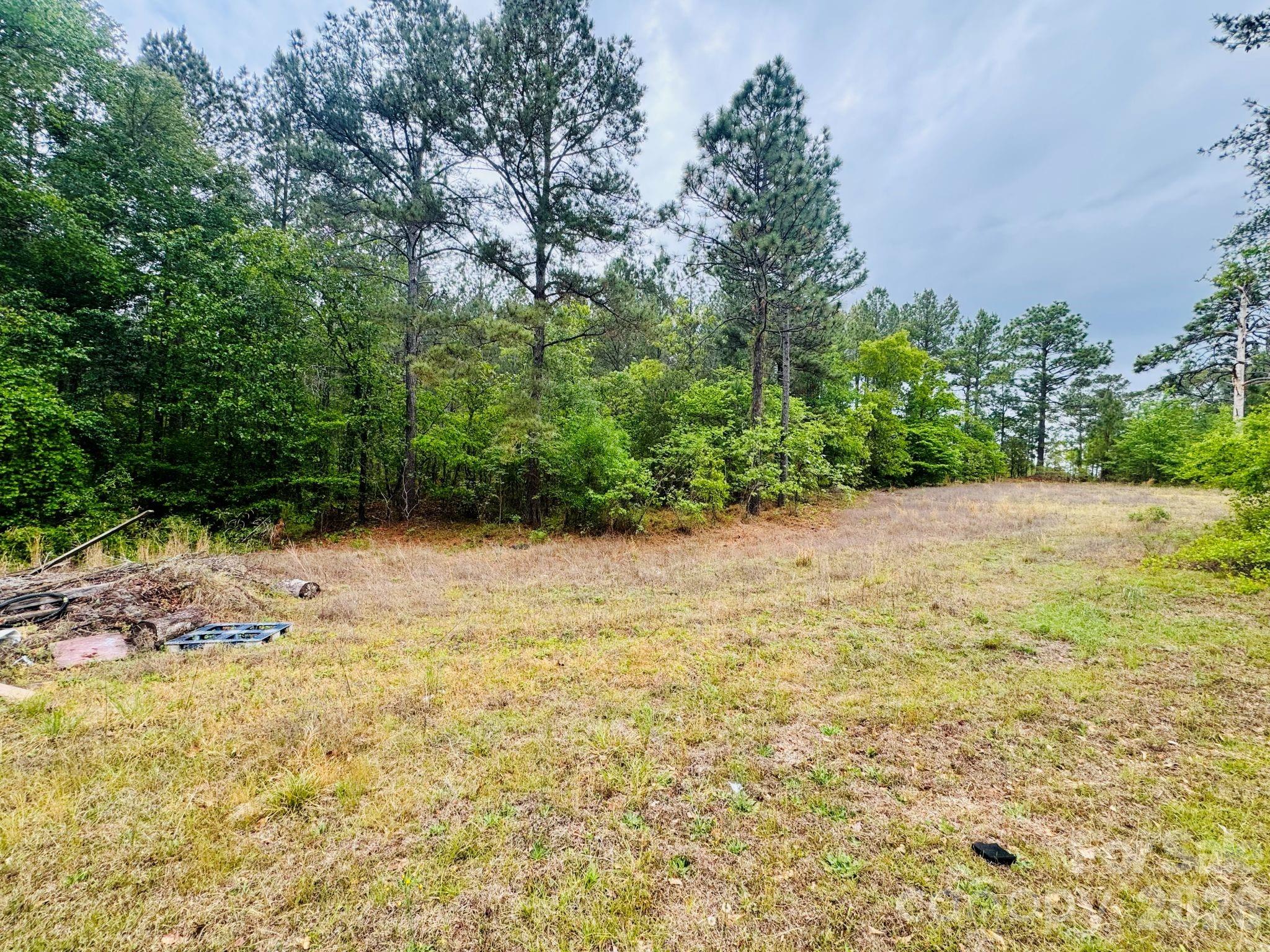 773 Beaverdam Church Road Rockingham, NC 28379 - Photo 3 of 48