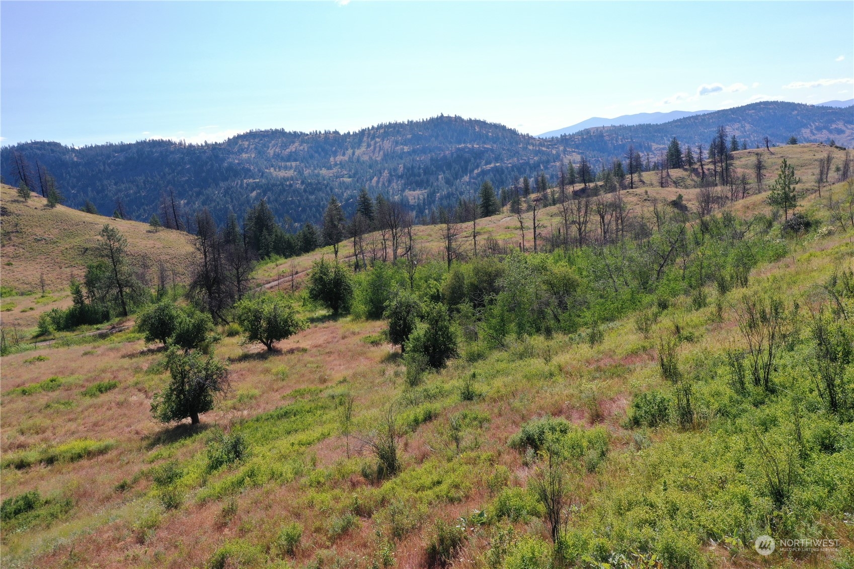 107 Eighme Road Oroville, WA 98844 - Photo 2 of 13 Gallery Image 2