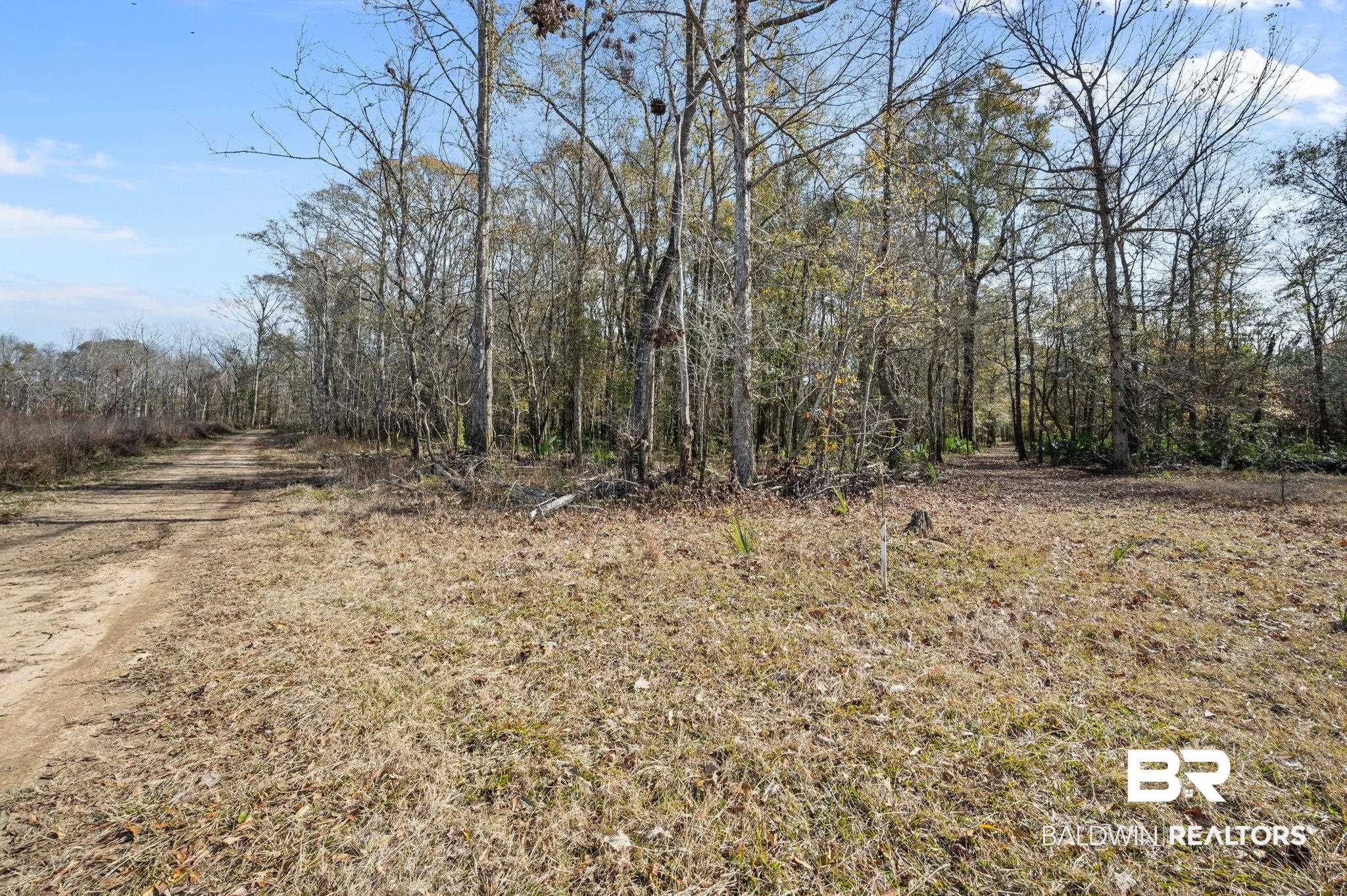 0 Bryant's Lndg Road Stockton, AL 36579 - Photo 8 of 29