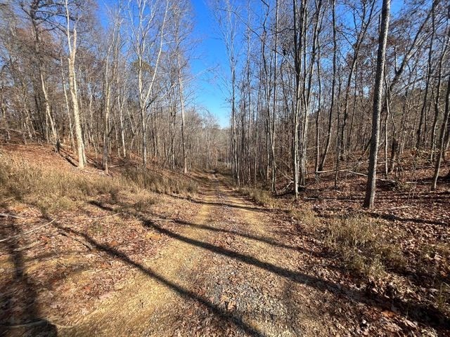 0 Athens Road Delano, TN 37325 - Photo 5 of 10