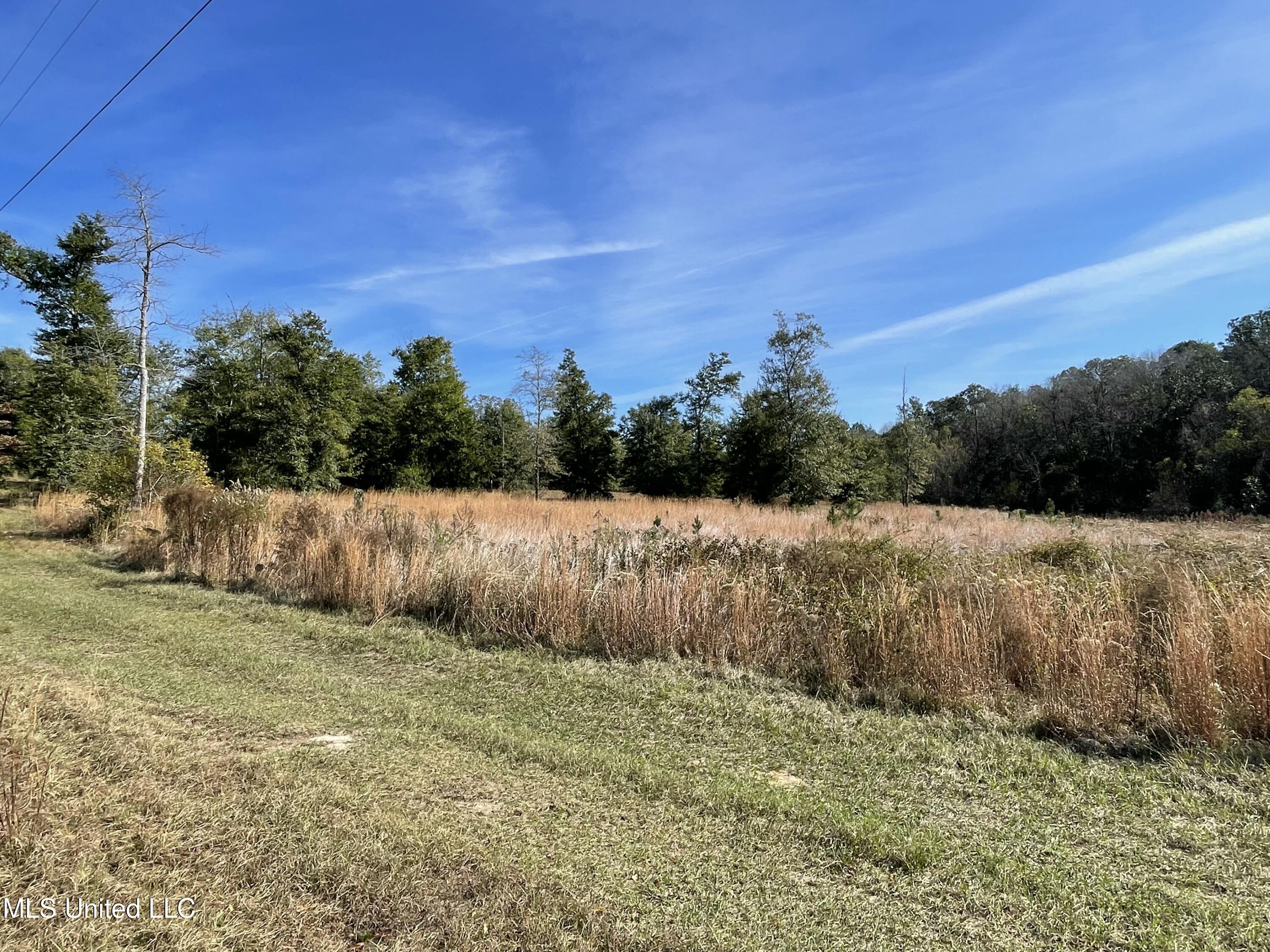 14119 Highway 98 Lucedale, MS 39452 - Photo 12 of 30 IMG_0794