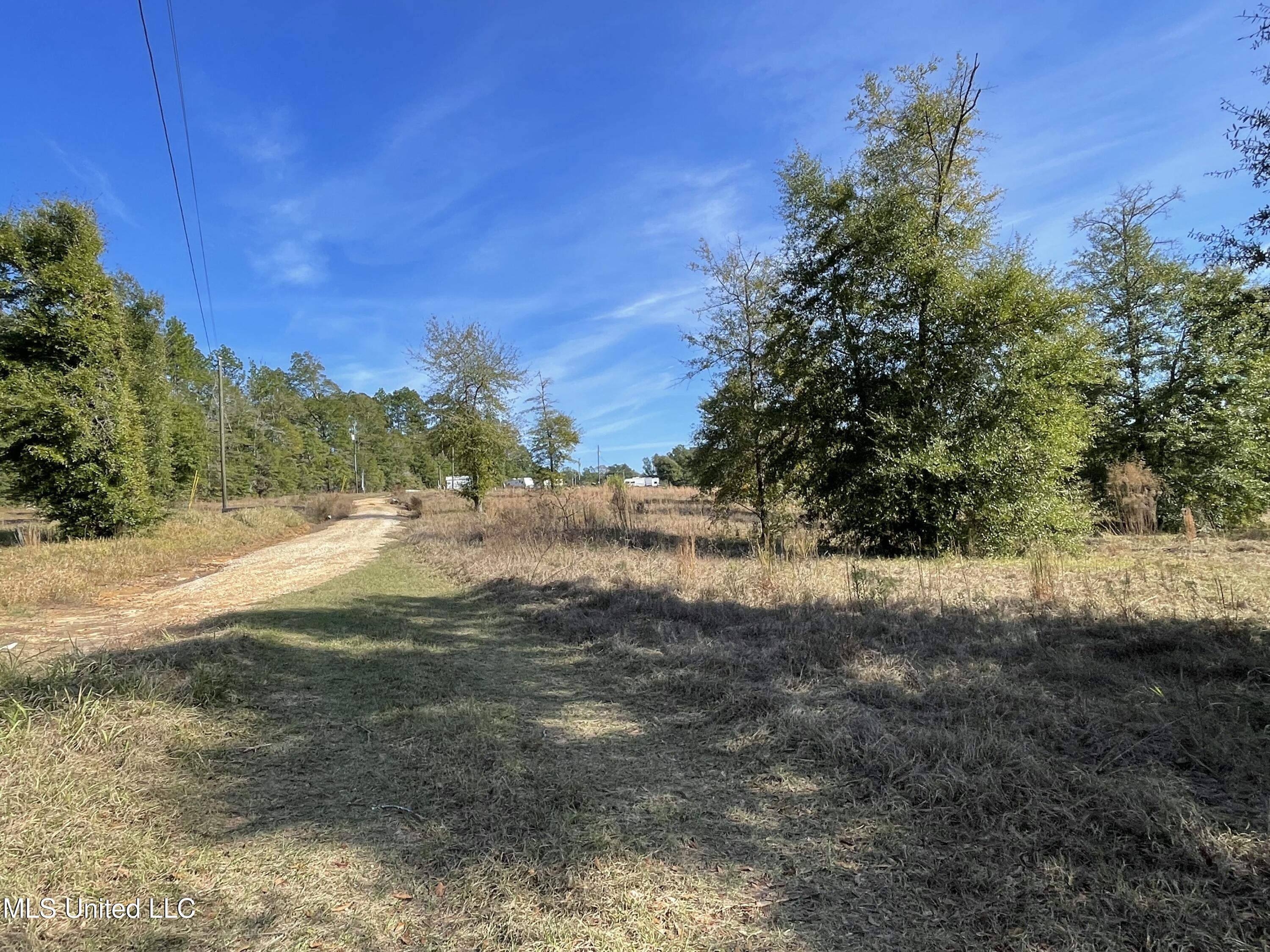 14119 Highway 98 Lucedale, MS 39452 - Photo 13 of 30 IMG_0795