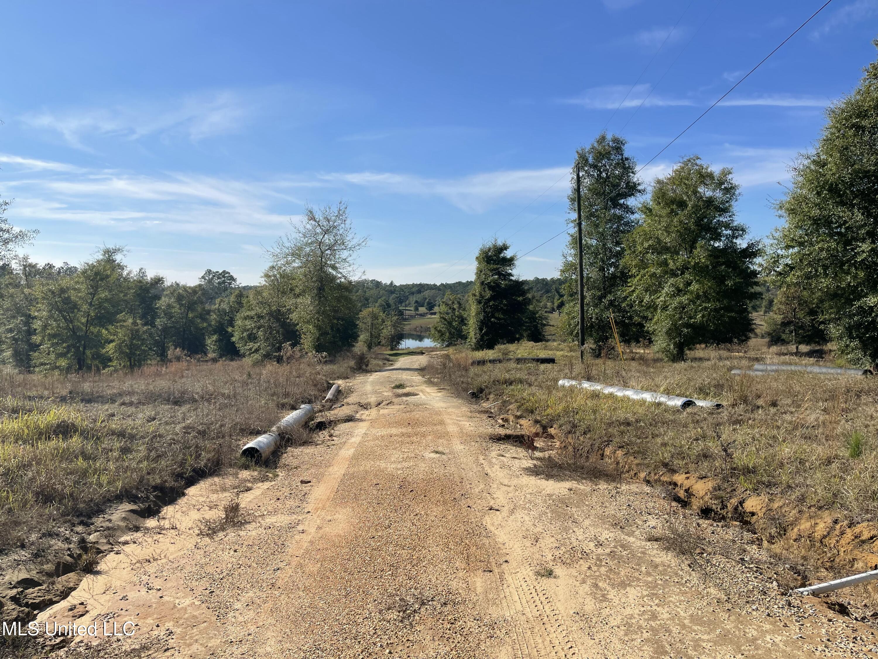 14119 Highway 98 Lucedale, MS 39452 - Photo 14 of 30 IMG_0797