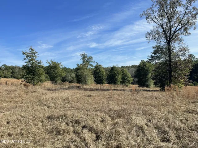 $279,000 | 14119 Highway 98, Lucedale, MS 39452