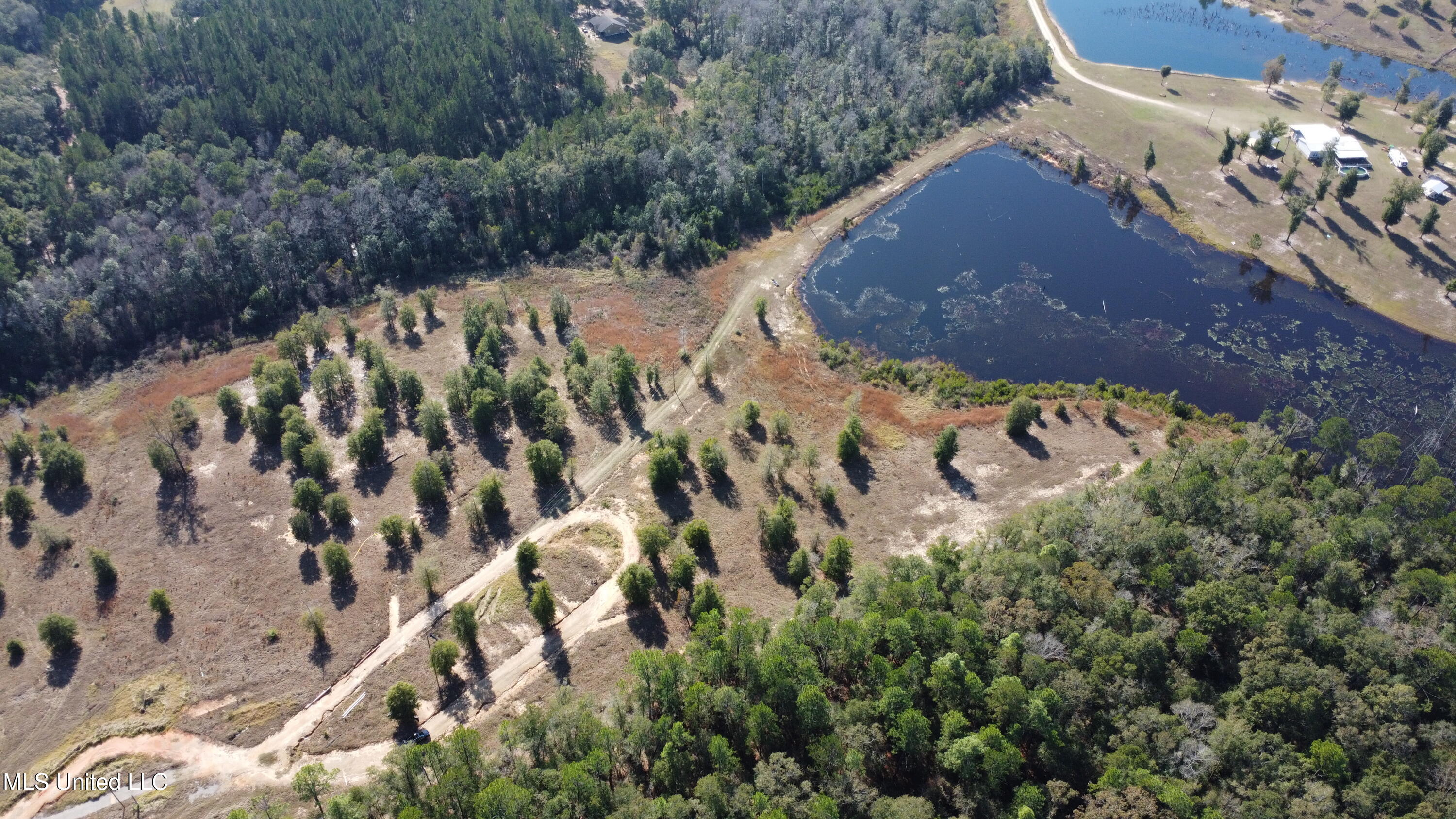 14119 Highway 98 Lucedale, MS 39452 - Photo 20 of 30 DJI_0346