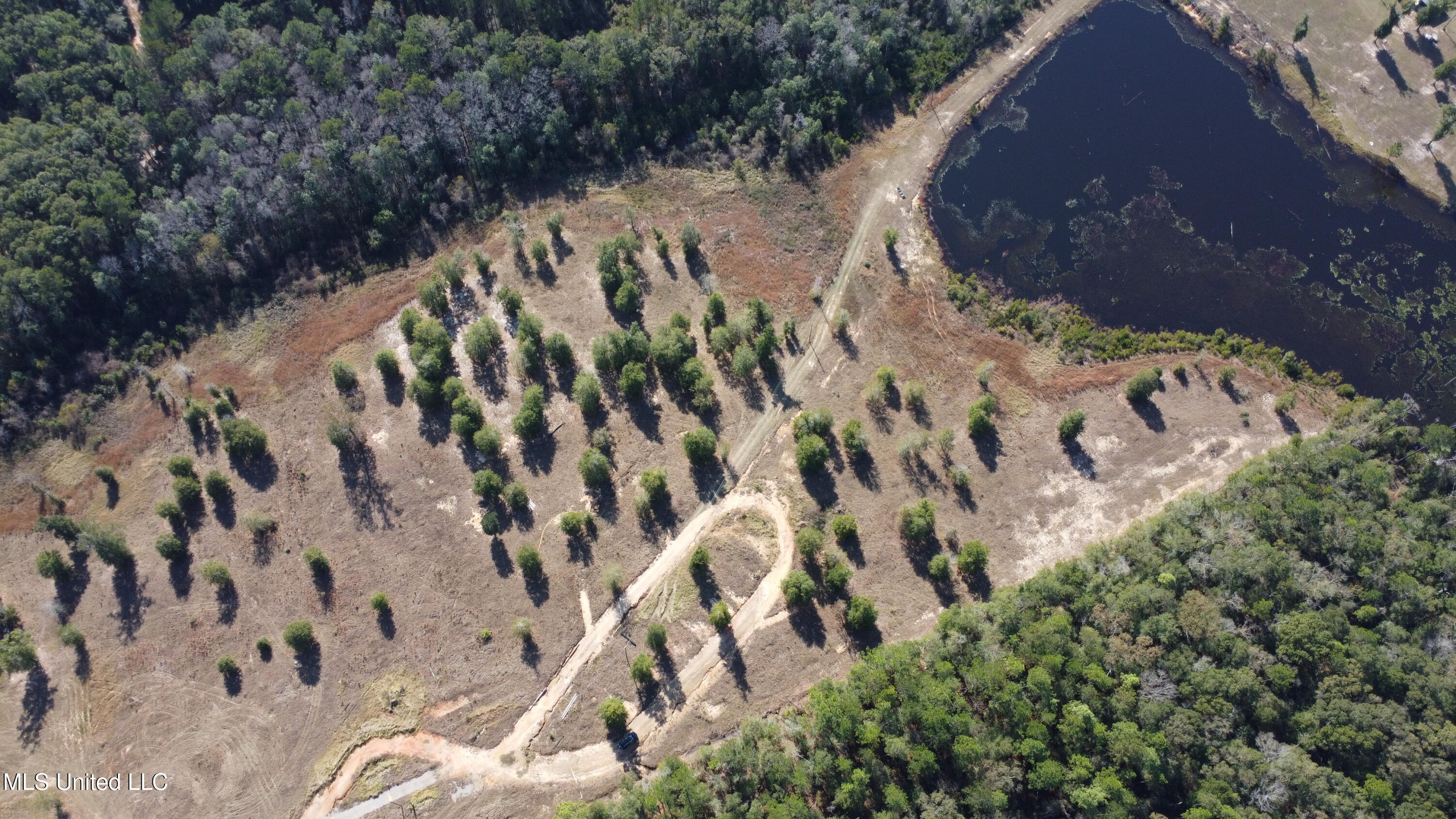 14119 Highway 98 Lucedale, MS 39452 - Photo 23 of 30 DJI_0351
