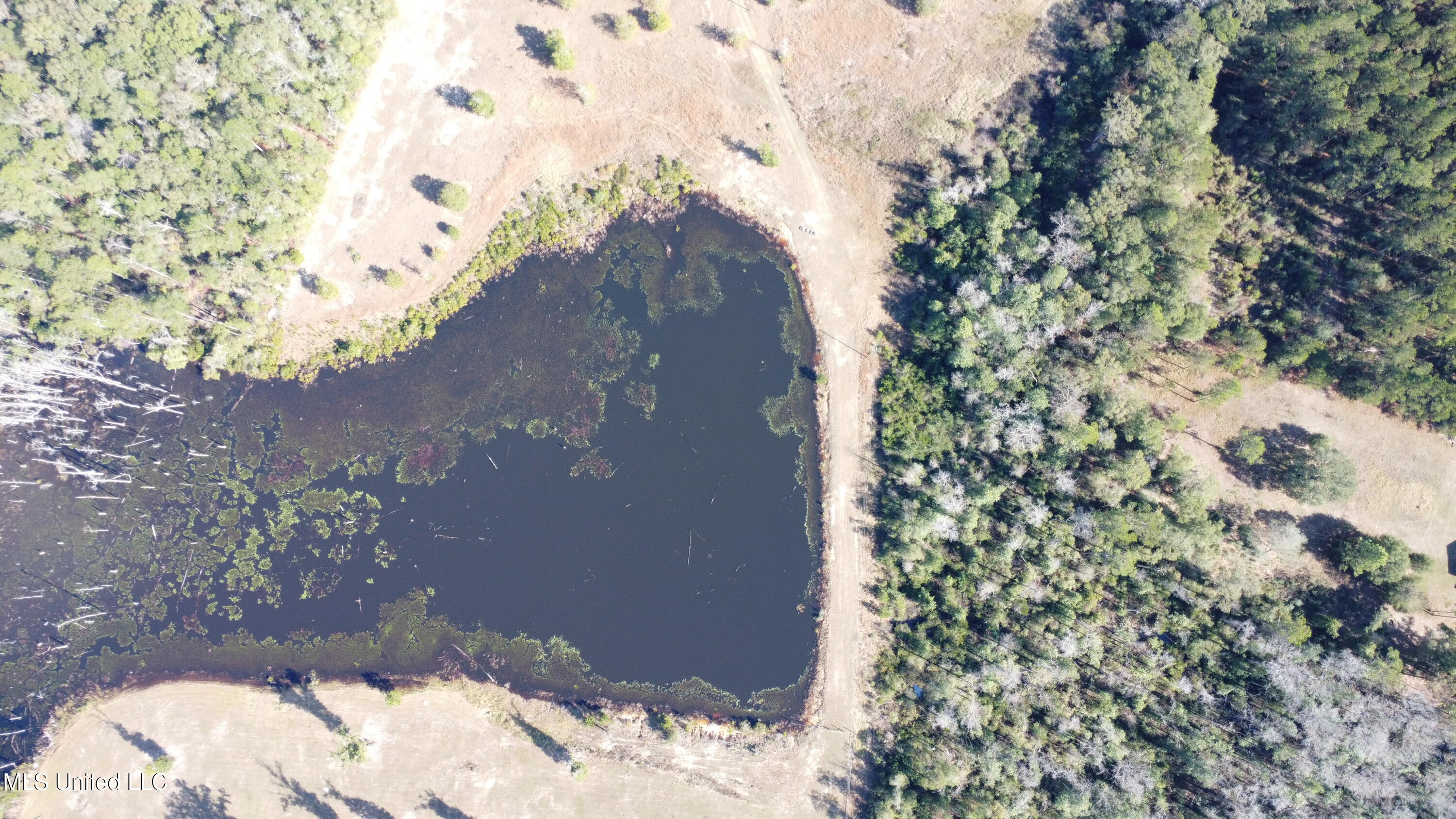 14119 Highway 98 Lucedale, MS 39452 - Photo 24 of 30 DJI_0352