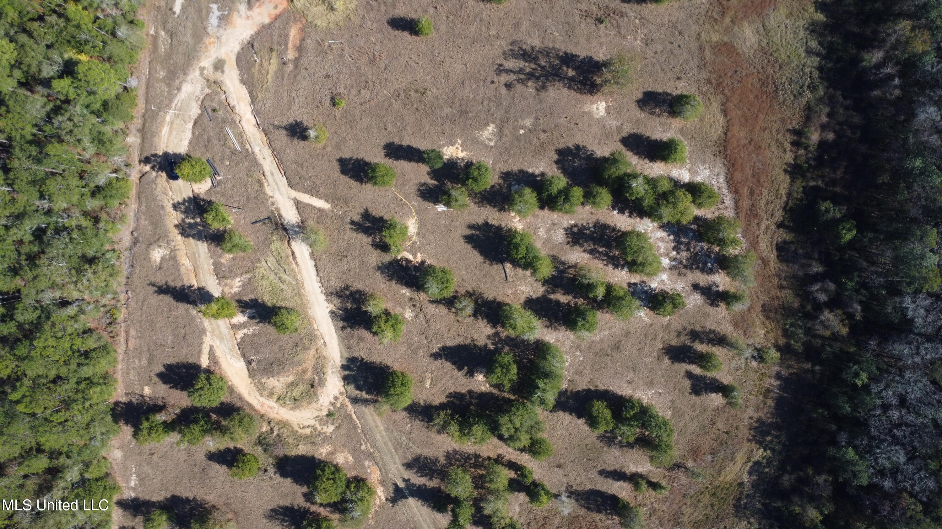 14119 Highway 98 Lucedale, MS 39452 - Photo 27 of 30 DJI_0359