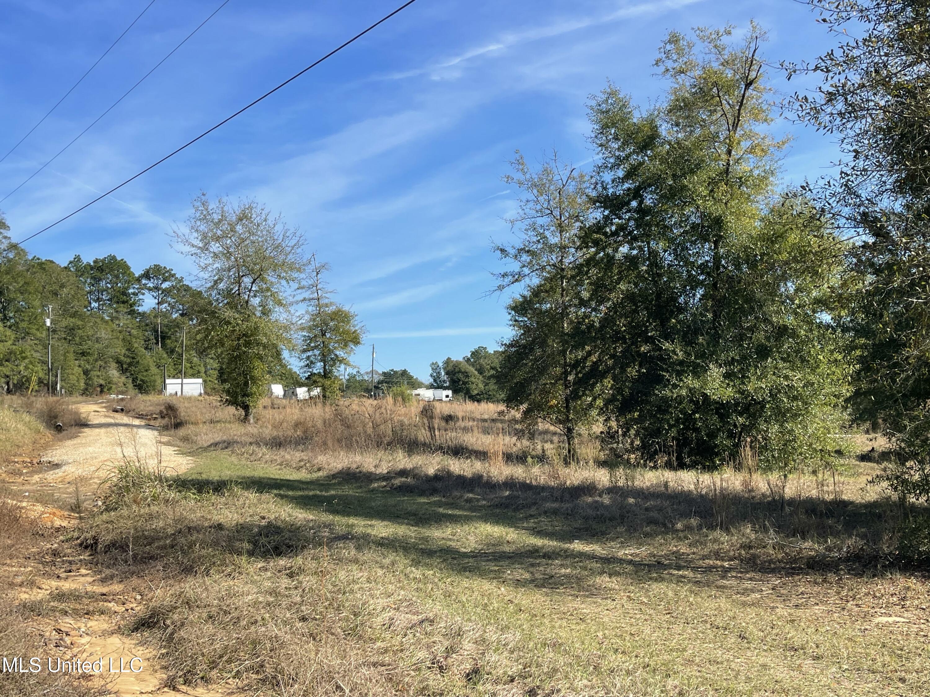 14119 Highway 98 Lucedale, MS 39452 - Photo 3 of 30 IMG_0786
