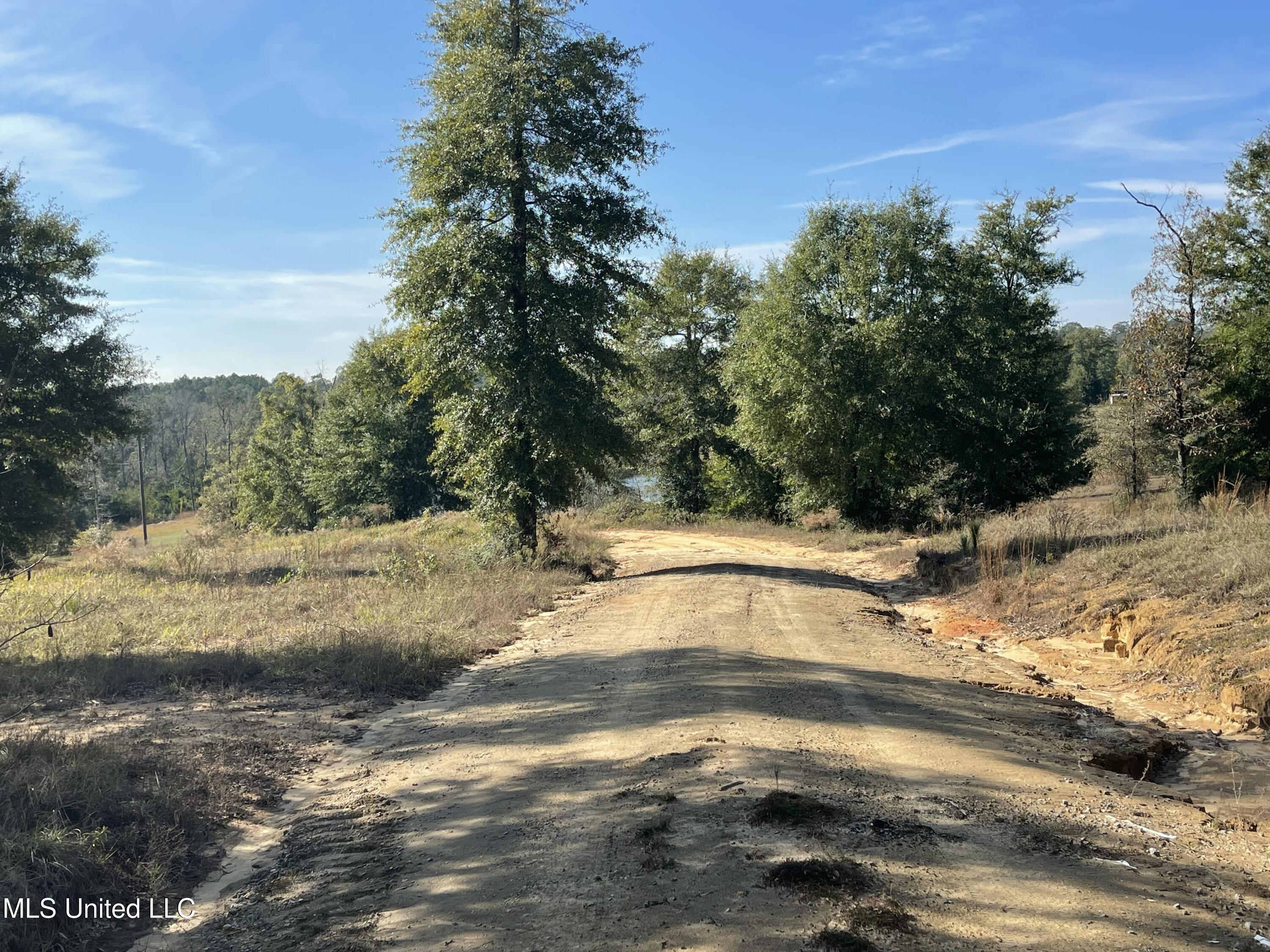 14119 Highway 98 Lucedale, MS 39452 - Photo 4 of 30 IMG_0783