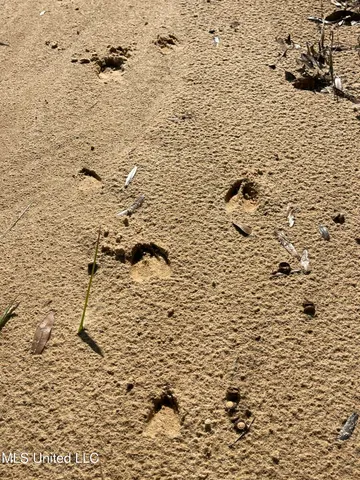 $279,000 | 14119 Highway 98, Lucedale, MS 39452