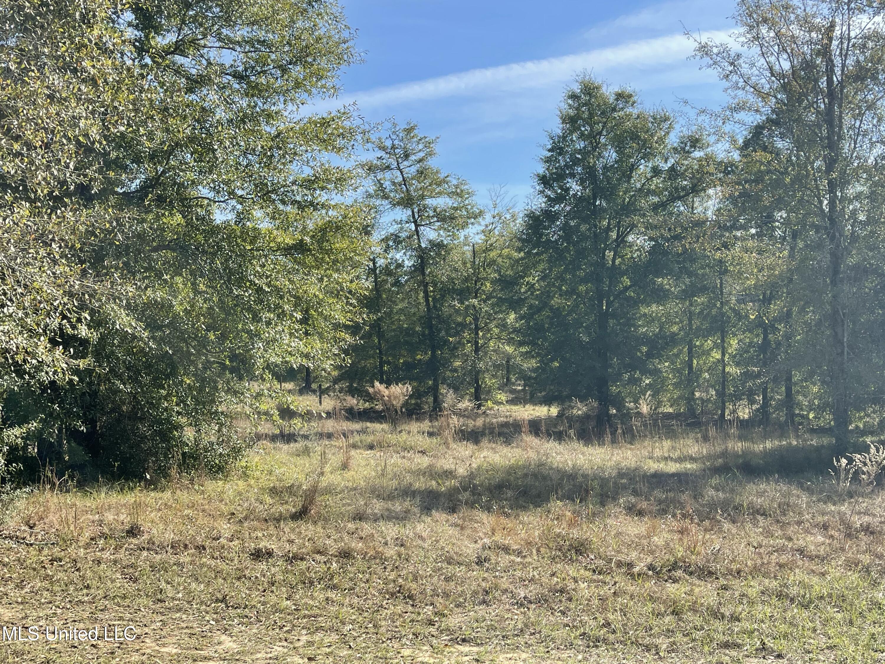 14119 Highway 98 Lucedale, MS 39452 - Photo 6 of 30 IMG_0787