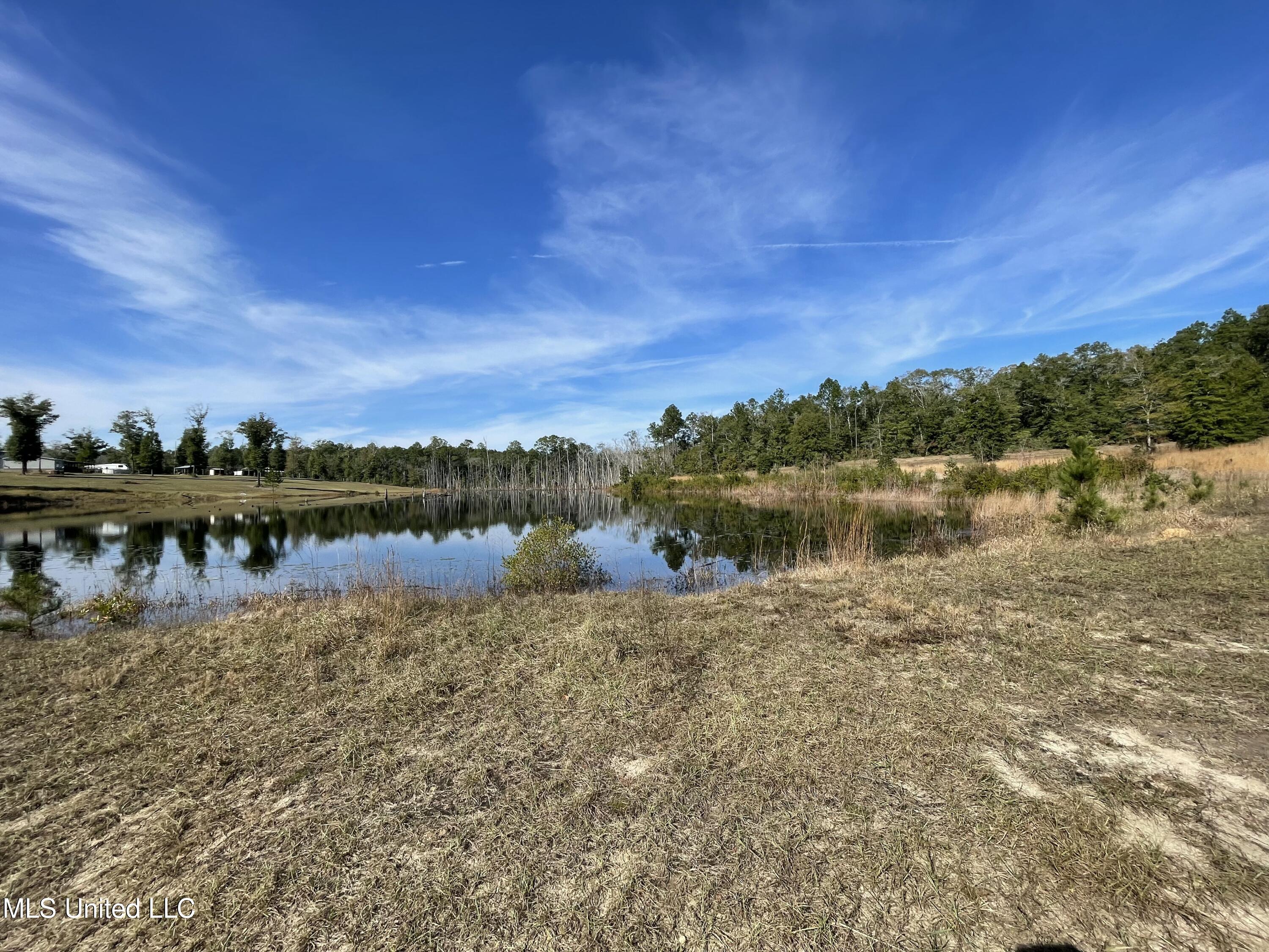 14119 Highway 98 Lucedale, MS 39452 - Photo 7 of 30 IMG_0789