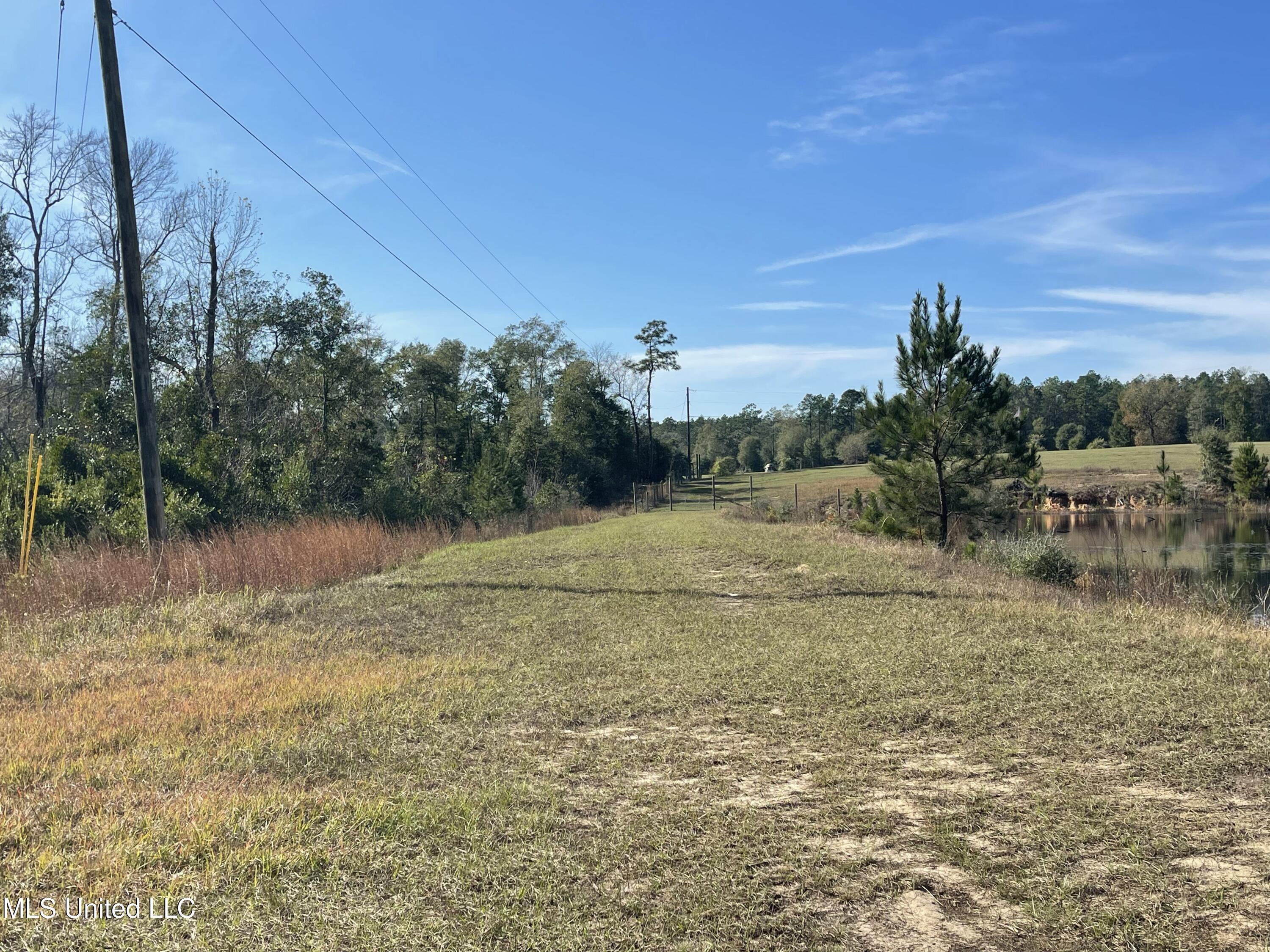 14119 Highway 98 Lucedale, MS 39452 - Photo 10 of 30 IMG_0792