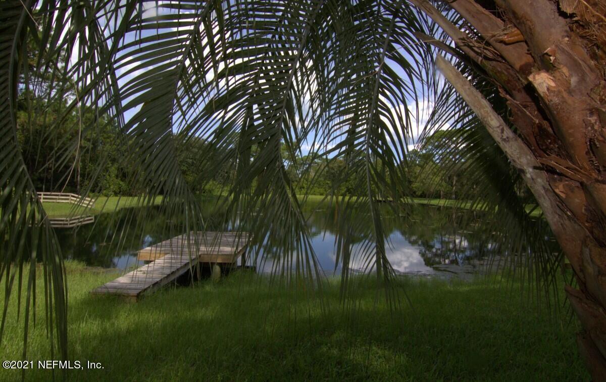 1365 Highway 206 St. Augustine, FL 32086 - Photo 45 of 54 pond palm