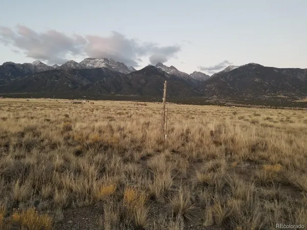 a view of a dry field with mountains in the background