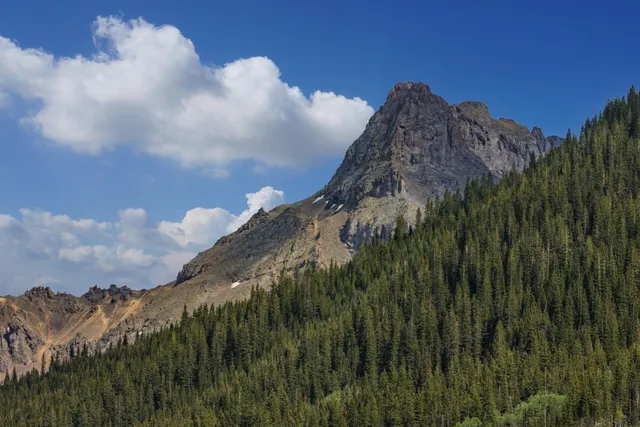 a view of a house with large trees