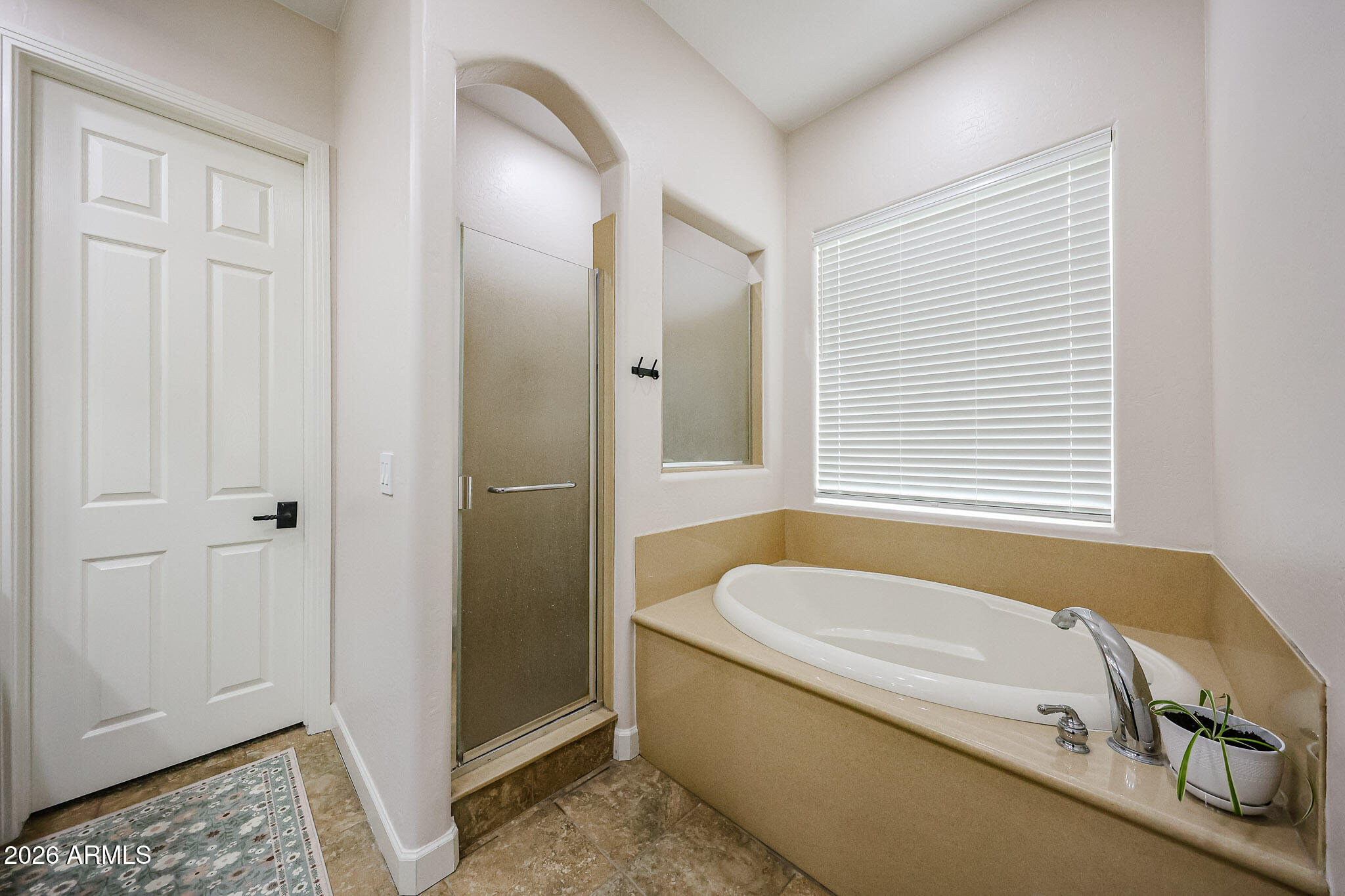 14383 West Monte Vista Road Goodyear, AZ 85395 - Photo 35 of 44 2026-01-29 10.05.19