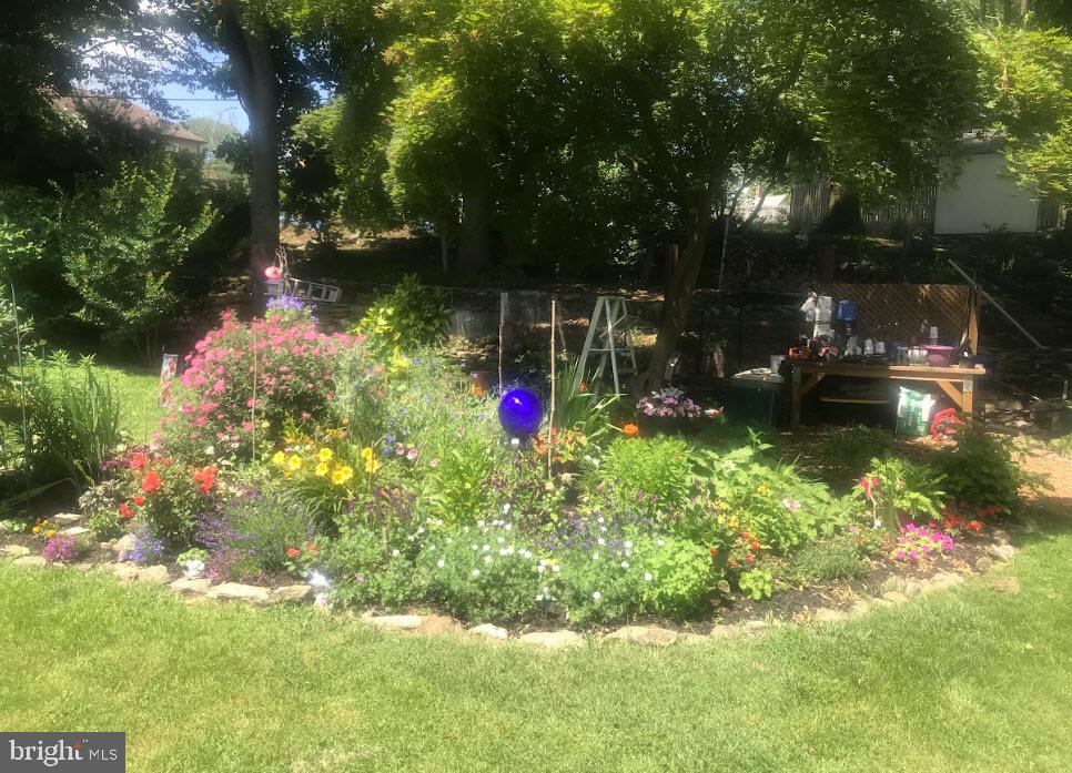 8516 Chippewa Road Philadelphia, PA 19128 - Photo 17 of 20 a view of swings on a tree