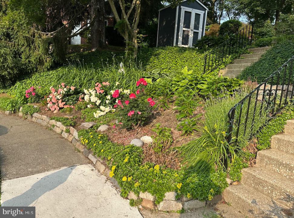 8516 Chippewa Road Philadelphia, PA 19128 - Photo 19 of 20 a view of a flower in a garden with a fountain