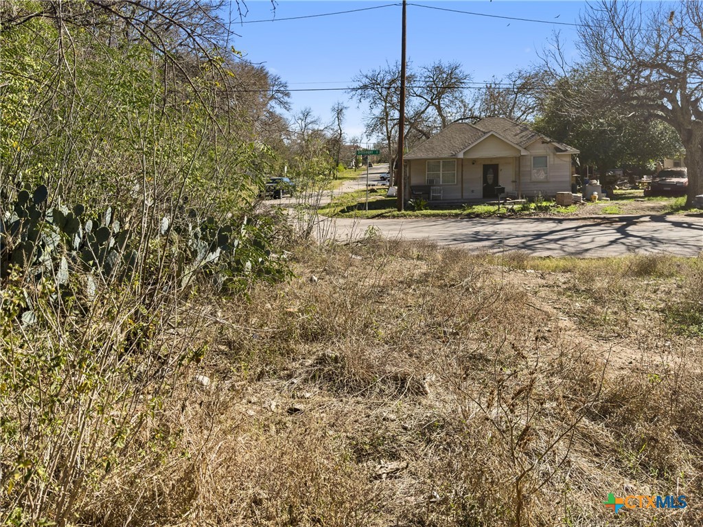 595 Dittlinger Street New Braunfels, TX 78130 - Photo 11 of 19 a view of a house with a yard
