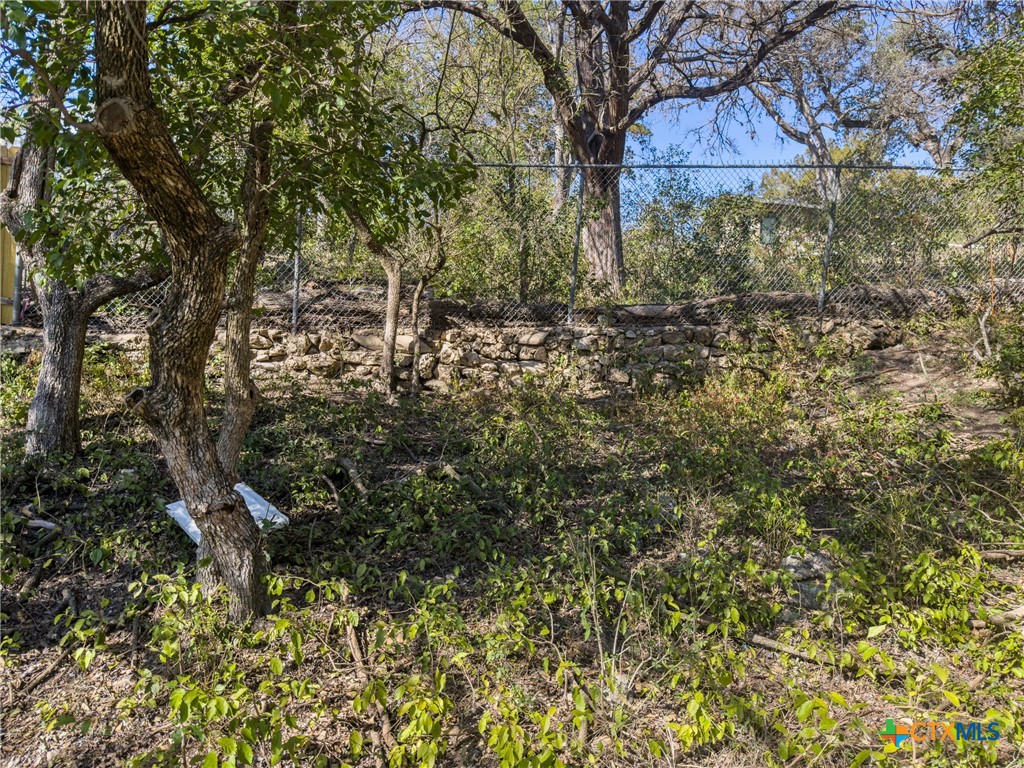 595 Dittlinger Street New Braunfels, TX 78130 - Photo 4 of 19 a view of a yard with plants and trees