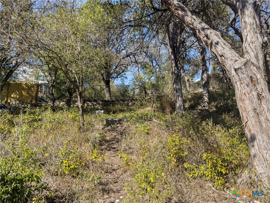595 Dittlinger Street New Braunfels, TX 78130 - Photo 10 of 19 a view of forest