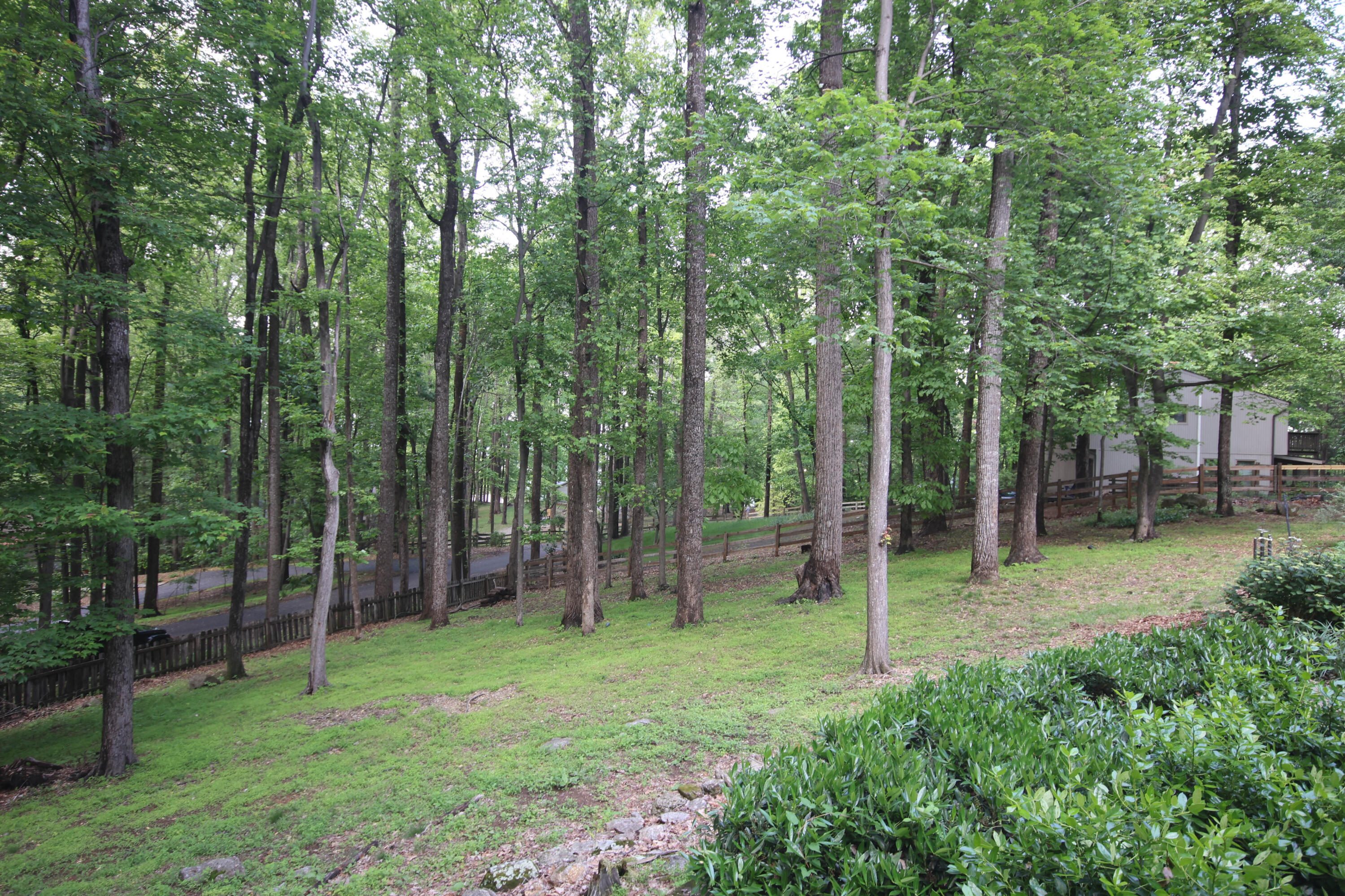 6898 Sugar Rum Ridge Road Roanoke, VA 24018 - Photo 45 of 47 6898 Front Fenced Yard