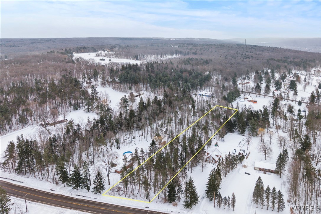 V/l Boston Ridge Road Orchard Park, NY 14127 - Photo 1 of 1