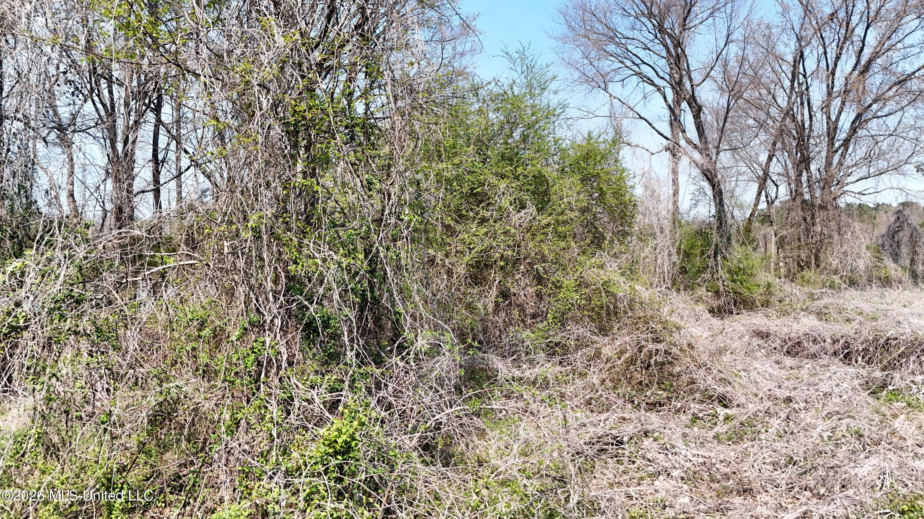 1200 Chulahoma Road Holly Springs, MS 38635 - Photo 45 of 46 DJI_20260321134234_0073_D