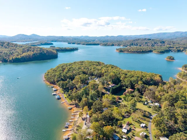 a view of a lake with a mountain in the background