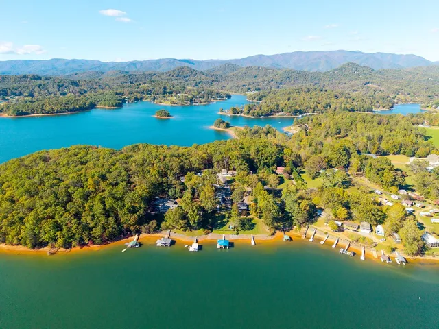 a view of a lush green hillside and houses