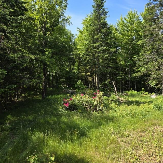 250 Kinney Hill Road Newark, VT 05871 - Photo 28 of 34