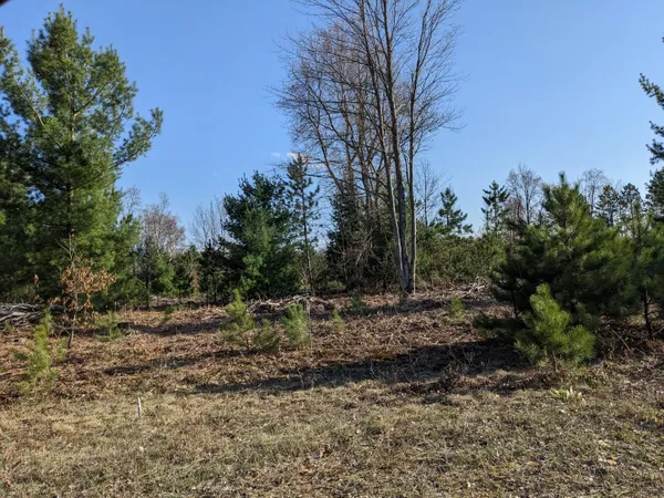 $15,500 | Jussi Street, Kaleva, MI 49645